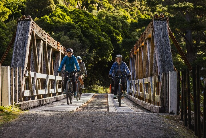 Remutaka Rail Trail- Wellington eBike Cruise Ship Shore Excursion - Photo 1 of 11